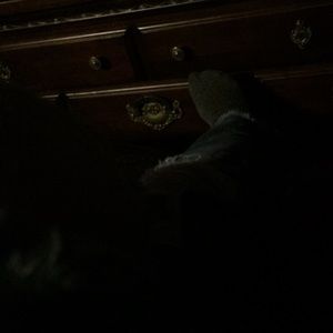 Meet your Posher, Birdie